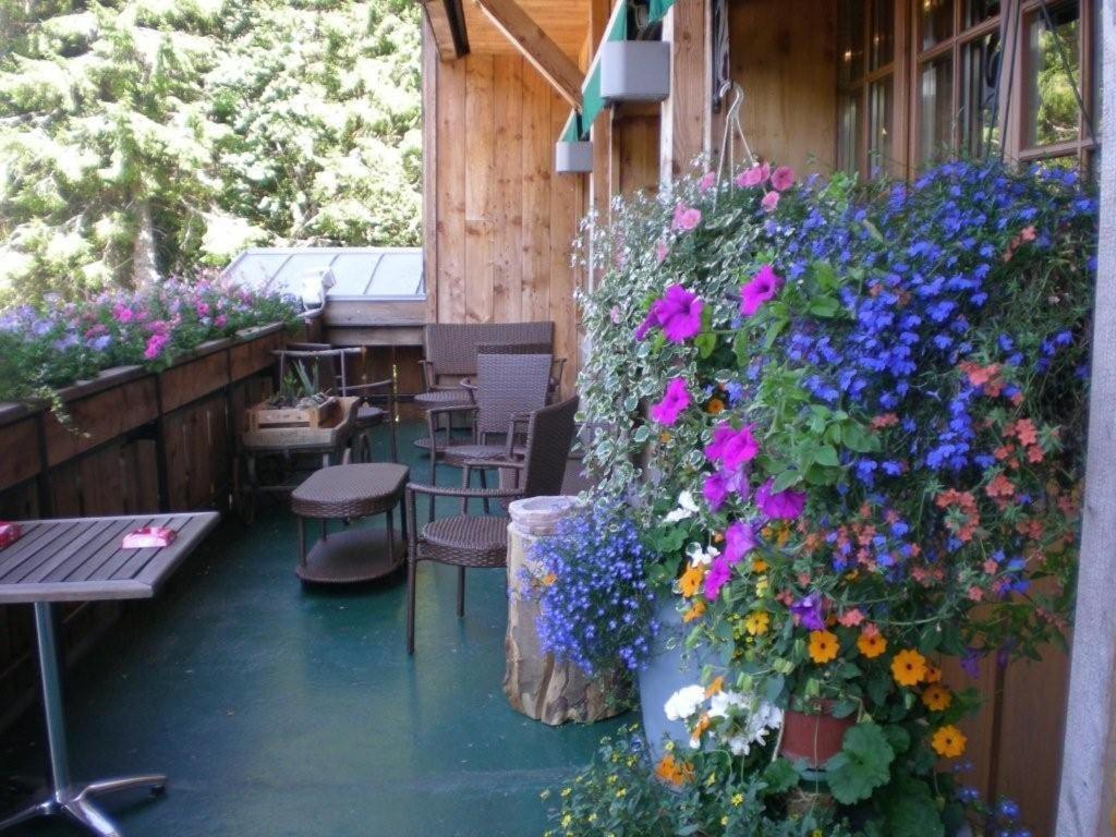 Chalet Hotel Le Collet Ксорюпт-Лонжме Экстерьер фото